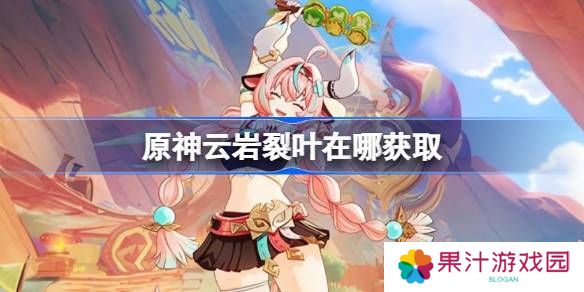 原神云岩裂叶采集路线分析 云岩裂叶位置分享[多图]图片1