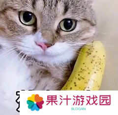 【大河怼策划】交易区真的要来啦！