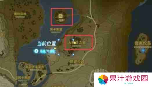 王国之泪4个大精灵之泉位置在哪儿-4个大精灵之泉位置