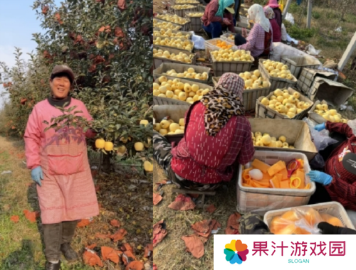 《荒野迷城》助农行动玩游戏做公益 千箱爱心免费领