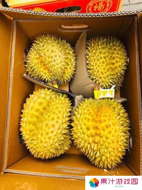 如何在挨饿荒野中成功获取泰国榴莲种子？解锁热带果园的隐藏秘密
