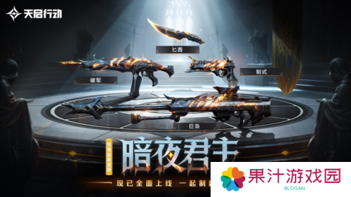 天启行动11